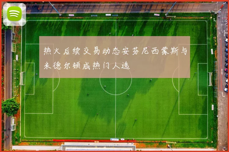 热火后续交易动态安芬尼西蒙斯与米德尔顿成热门人选
