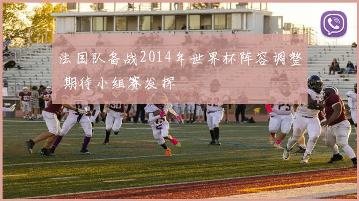 法国队备战2014年世界杯阵容调整 期待小组赛发挥