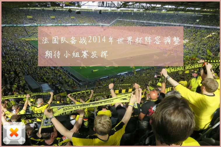 法国队备战2014年世界杯阵容调整 期待小组赛发挥