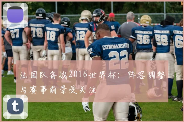 法国队备战2016世界杯：阵容调整与赛事前景受关注