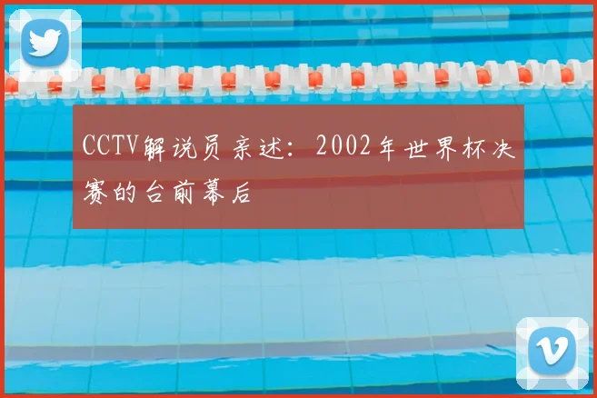 CCTV解说员亲述：2002年世界杯决赛的台前幕后