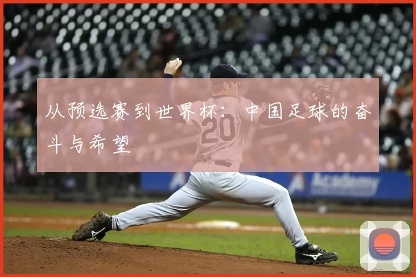 从预选赛到世界杯：中国足球的奋斗与希望