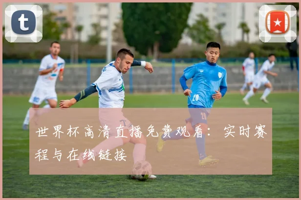 世界杯高清直播免费观看:实时赛程与在线链接