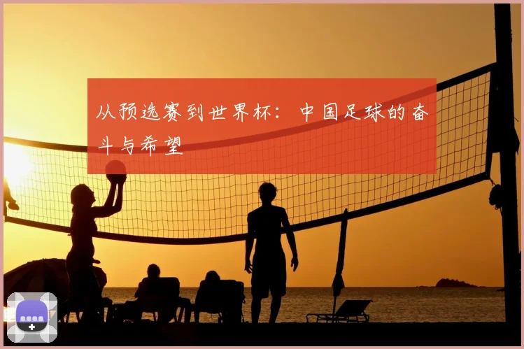 从预选赛到世界杯：中国足球的奋斗与希望