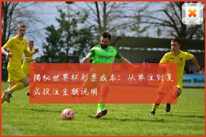 揭秘世界杯彩票成本：从单注到复式投注金额说明