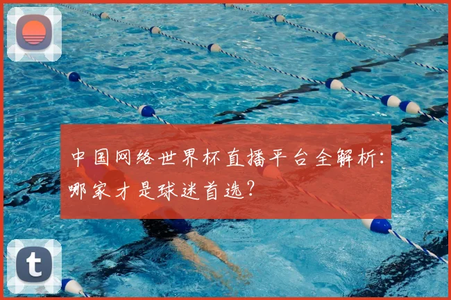 中国网络世界杯直播平台全解析:哪家才是球迷首选?