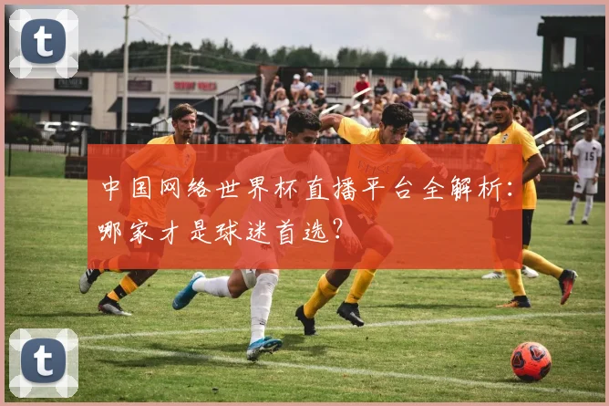中国网络世界杯直播平台全解析：哪家才是球迷首选？