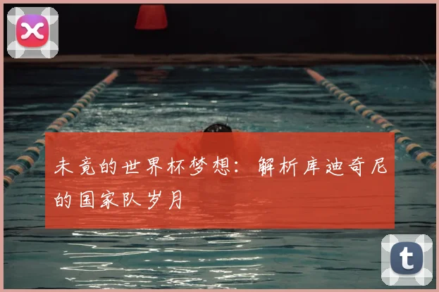 未竟的世界杯梦想：解析库迪奇尼的国家队岁月