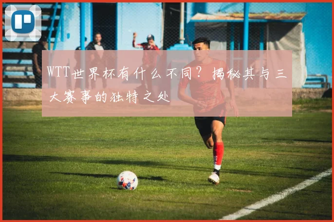 WTT世界杯有什么不同？揭秘其与三大赛事的独特之处