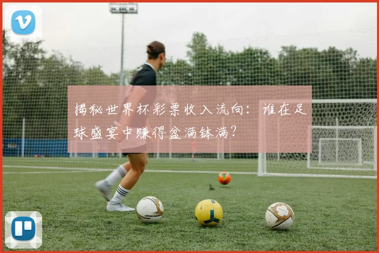 揭秘世界杯彩票收入流向：谁在足球盛宴中赚得盆满钵满？