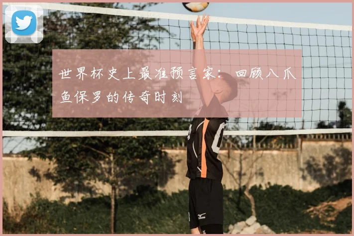 世界杯史上最准预言家:回顾八爪鱼保罗的传奇时刻