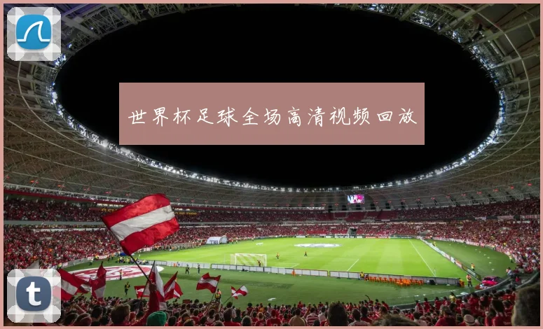 世界杯足球全场高清视频回放