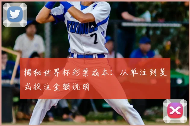 揭秘世界杯彩票成本:从单注到复式投注金额说明