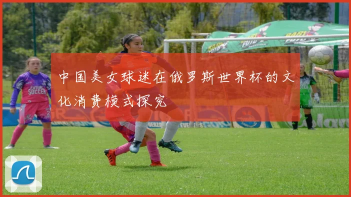 中国美女球迷在俄罗斯世界杯的文化消费模式探究